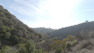 Los Liones Trail Pacific Palisades, CA